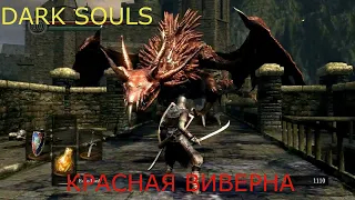 Красная Виверна: Dark Souls / Дарк соулс - тактика как убить, как победить босса ДС