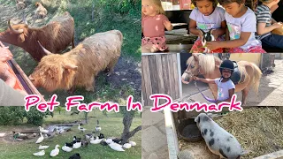 Farm Tour in Denmark |Grønnehavegård ||Denmark Pet Animals Farm| visit Farm Tour|Farm Animals