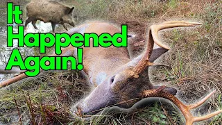 Big Buck Harvest! EXTERMINATING Wild Hogs