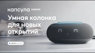 Капсула Мини — минимишная колонка!