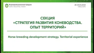 Секция «Стратегия развития коневодства. Опыт территорий»