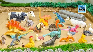 Dinosaurs and Farm Animals Muddy Adventure! Fun Learning Episode for Kids | D for Dinosaur