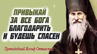 Привыкай за все Бога благодарить и будешь спасен! Преподобный Иосиф Оптинский