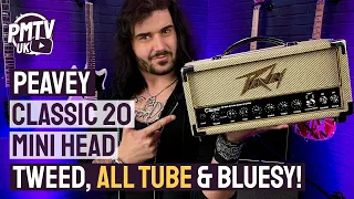 Peavey Classic 20 Mini Head! - That Huge, All Tube Tweed Tone, But BITESIZED!