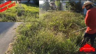 Homeowner Couldn’t Recognize His House After We Cut His OUT OF CONTROL Yard (FOUND TWO SIDEWALKS)