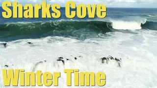 Sharks Cove Huge Surf Live from the Drone - Winter Swell slams the North Shore of O’ahu