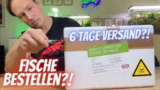 Fische im Internet bestellen - ein großer Fehler?! Meine ehrliche Meinung zum Tierversand! 25 🐠 100€