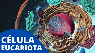 La CÉLULA EUCARIOTA explicada: sus organelos celulares, características y funcionamiento🦠