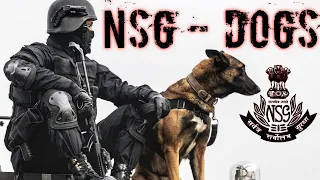 NSG Dog Squad - K9 Military Dogs - Most Dangerous Dogs