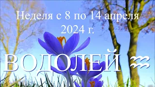 Неделя с 8 по 14 апреля 2024 г.ВОДОЛЕЙ ♒️