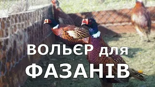 Вольєр для фазанів