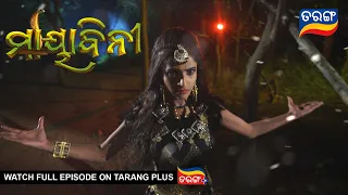 Mayabini | Ep 16 | 3rd Nov 2022 | Best Scene | Odia Serial–TarangTV