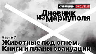 Дневник из Мариуполя. Часть 7. Животные под огнем. Книги и планы эвакуации