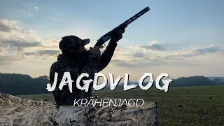 Krähenjagd | Crow hunting | VLOG#6