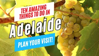 10 Amazing Things to Do in ADELAIDE, South Australia in 2024 | Adelaide Travel Guide & To-Do List