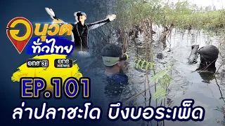 ล่าปลาชะโด บึงบอระเพ็ด จ.นครสวรรค์ | อนุวัตทั่วไทย | EP 101 | ข่าวช่องวัน | one31