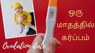 கருமுட்டை வெடிக்கும் நாள் |how to calculate ovulation date in tamil