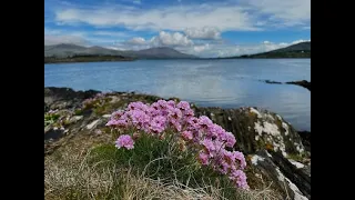 Beara Peninsula Adventure