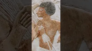 🤯 The Egyptian Hair Mystery - SOLVED #shorts #kemet #hiddenhistory