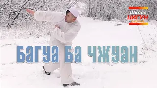 Багуа Ба Чжуан 💎 Форма «8 стовбів Багуа» / #ШколаЦИГУНonline