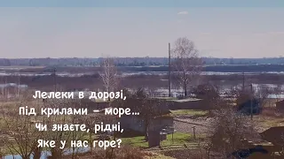 Лелеки в дорозі // пісня під час війни