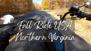 Beautiful Fall Day USA, NoVa in HD Iron 883 #fall #riding #harleydavidson #hd #therapy #motorcycle