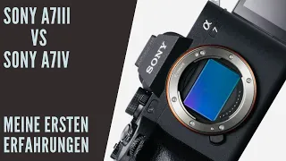 Sony A7III vs Sony A7IV - Meine ersten Erfahrungen mit der, für mich, neuen Sony Kamera