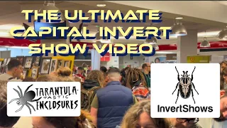 The ultimate capital invert show vid