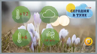 Погода в Туле на 15 мая