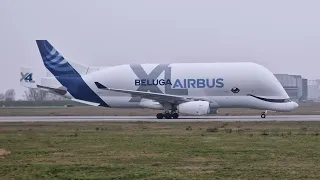 A330-743L Beluga Landing at Hamburg Finkenwerder Airport AIRBUS