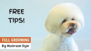 FREE TIPS Asian Fusion Style Poodle Grooming | ASIAN CUTE DOGS