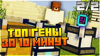 Как выжать из пчёл свой максимум? Genetic'a  || Minecraft гайд с модами