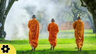 Tibetan Meditation Music, Meditation, Healing, Sleep, Chakra, Yoga, Spa, Study, Zen, Relax, ✿2991C