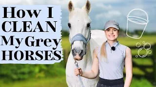 How I Clean my Grey horses - This Esme ad