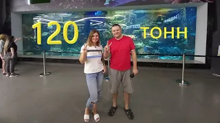 Аквариум 120 тонн - такой бы себе домой)))