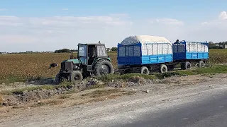 MANA TALANT МАНА ТАЛАНТ