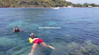 BAWEANIS TOUR OPERATOR LOKAL PULAU BAWEAN MELAYANI PAKET WISATA TRIP TOUR TRAVEL KE BAWEAN ISLAND