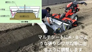 マルチシートを張る際のポイント