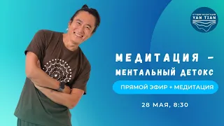 Медитация - ментальный детокс | Прямой эфир + медитация | Ян Тиан