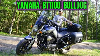 YAMAHA BT1100 BULLDOG - PIERWSZY MOTOCYKL