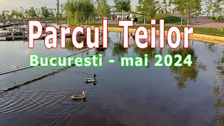 parcul teilor bucuresti seara apus