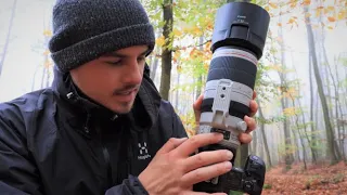 Review Canon ef100-400mm L IS USM II - Ein vielseitiges Tele!