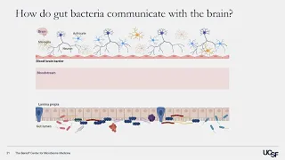 Microbes and Mental Health – Mood-Enhancing Effects of Gut Microbes