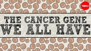 The cancer gene we all have - Michael Windelspecht