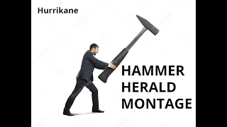 Hammer Herald Montage 2019 - 2020
