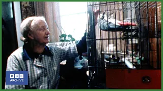 1979: Will Polly the RUDE PARROT ever sing? | Nationwide | Weird and Wonderful | BBC Archive