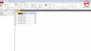 Microsoft Access How to Use Make Table Query