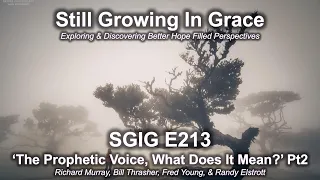 SGIG 213 The Prophetic Voice, What Does It Mean? Part 2 of 2