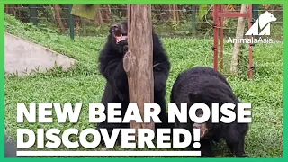 Rescued bear makes noise we've never heard before!