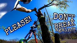 🆕️ CLIMBING & REMOVING The WORST Tree In The WORLD! (part 1 of 2)